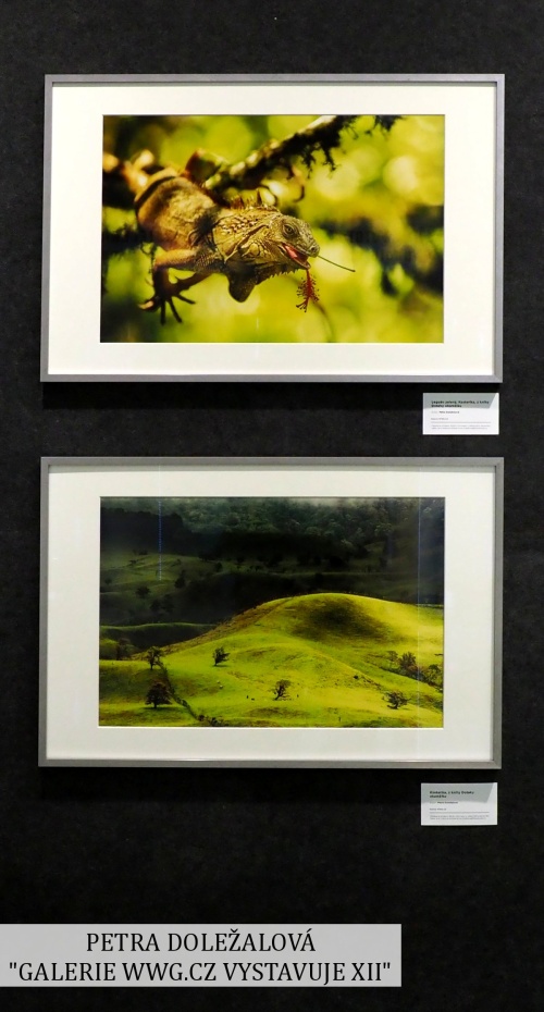 GALERIE WWG.CZ XII - PETRA DOLEŽAOVÁGALERIE WWG.CZ XII - LIBOR ŠPAČEK